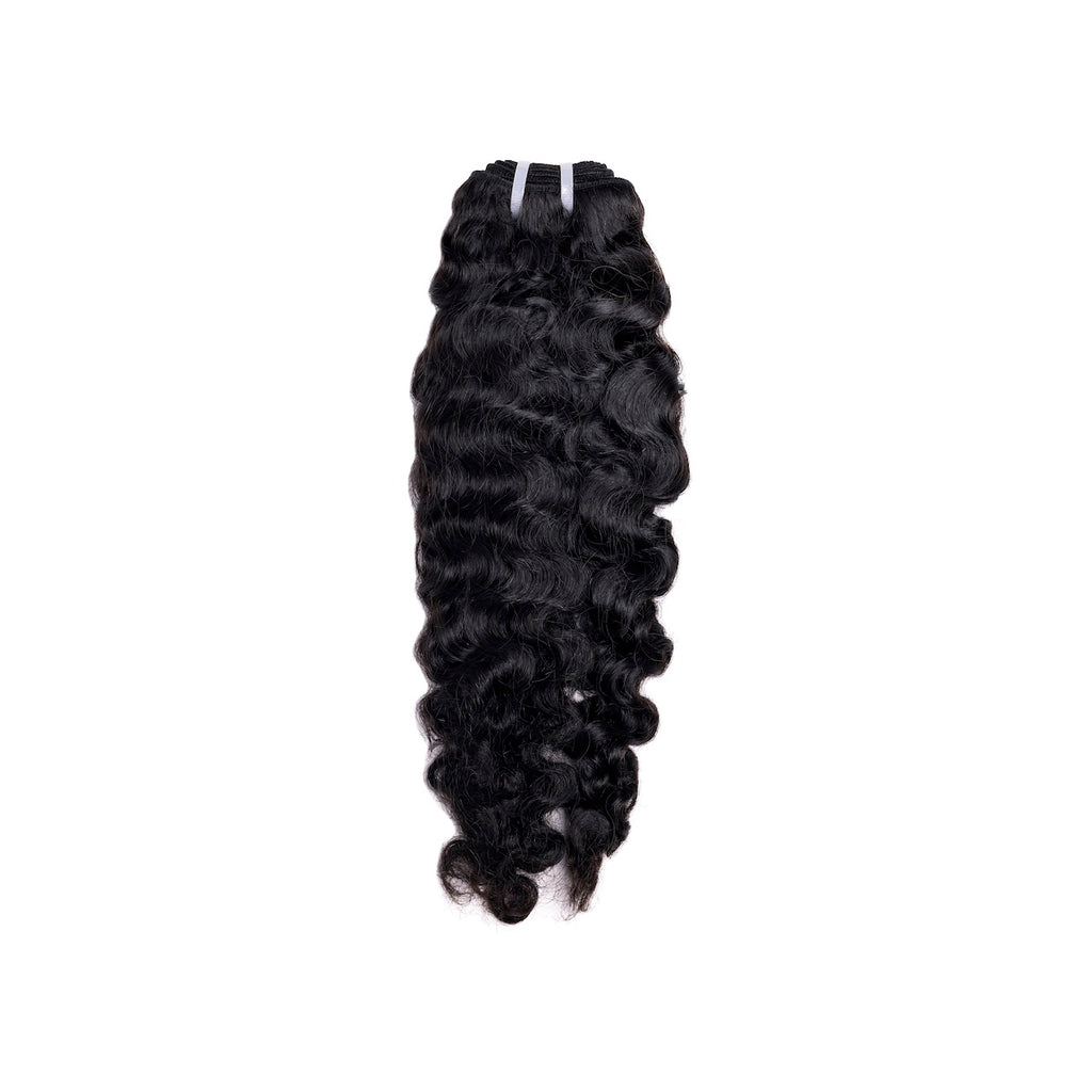 Blue Magic Burmese Curl Bundle